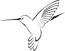 Hummingbird Bookkeeping